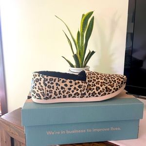 BNWT Leopard TOMs Shoes